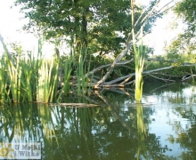 spyw_kajakowy_Chocin