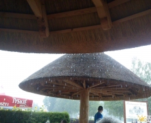 img_swornegacie_bar_lesny