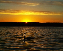 Izba_edukacyjna_Nadlesnictwa_Przymuszewo_na_Kokoszce_2