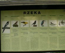 tablica_centrum_ornitologicznego