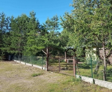 Swornegacie_pacerowa_10_50_1_1_1_1